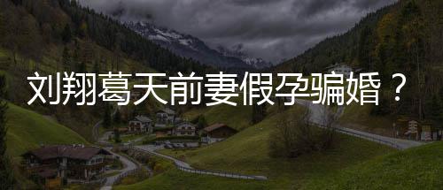 不过刘翔造谣者前妻回骗婚葛天澄清应也抵假孕