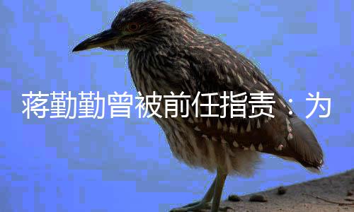 被前任指么以为什责勤曾前会朋友有男蒋勤